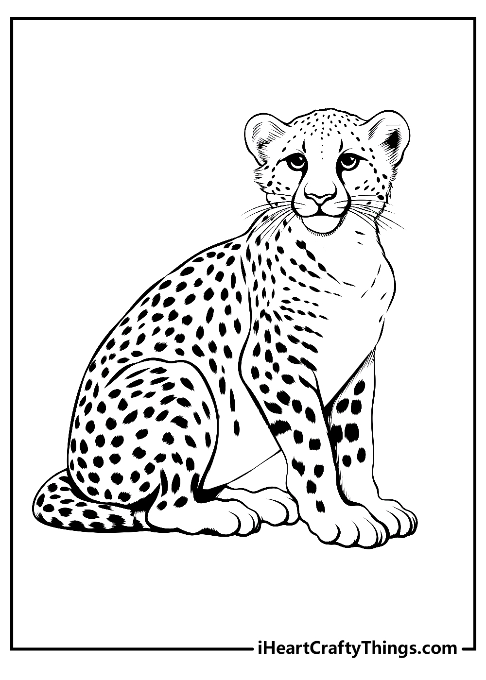 black-and-white cheetah coloring pages