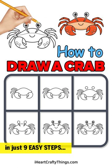 Crab Drawing — How To Draw A Crab Step By Step