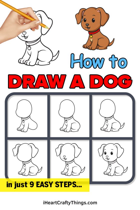 Dog Drawing - How To Draw A Dog Step By Step