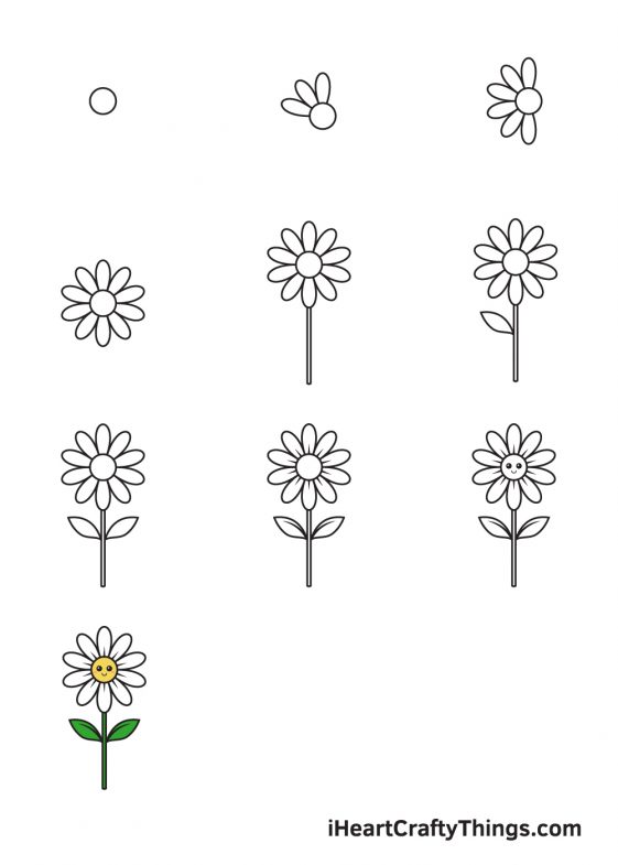 Daisy Drawing - How To Draw A Daisy Step By Step