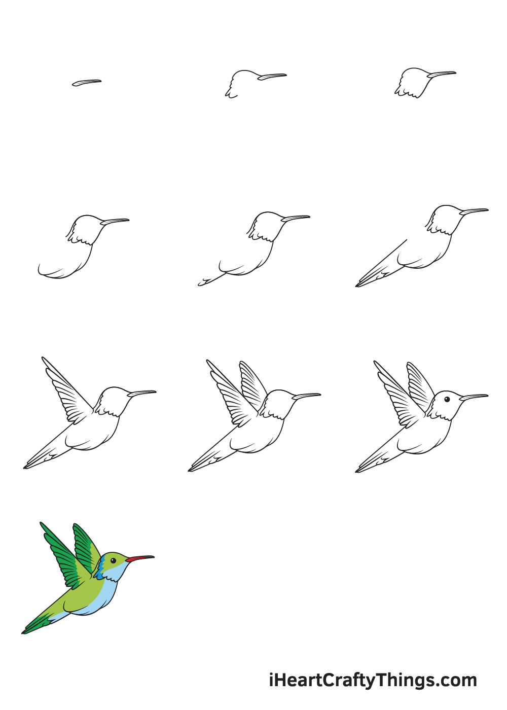 how to draw a realistic hummingbird