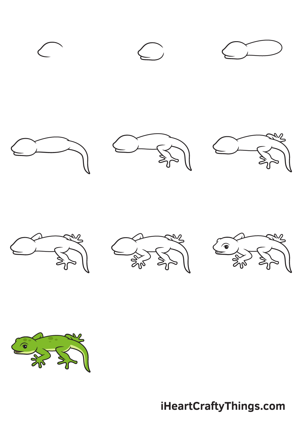 drawing lizard in 9 steps