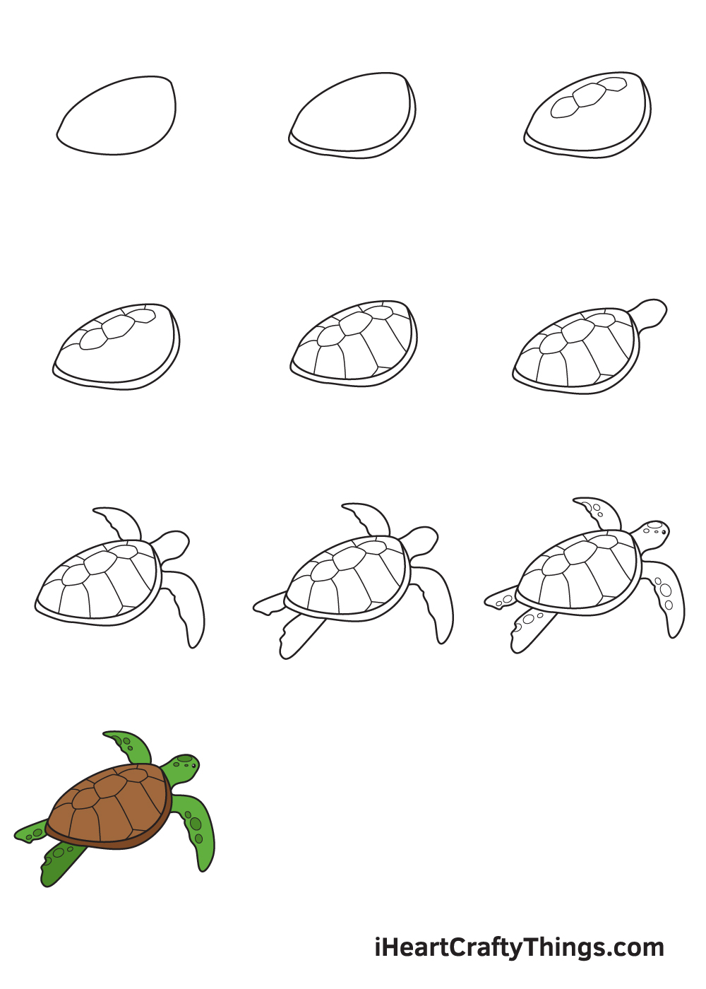 Sea Turtle Drawing — How To Draw A Sea Turtle Step By Step