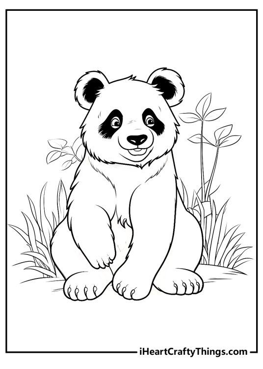 giant panda coloring pages for kids