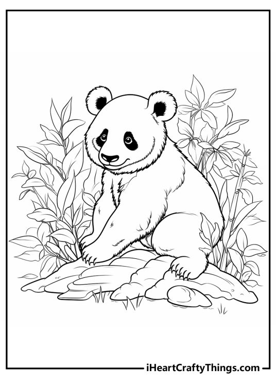giant panda coloring printables