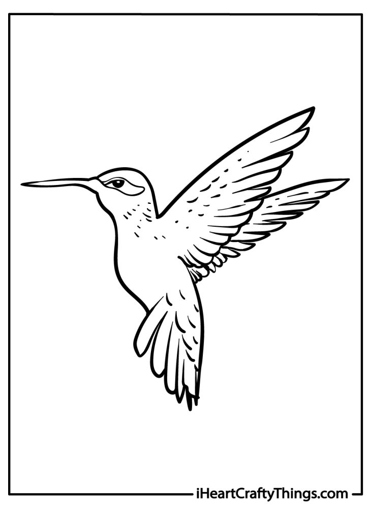 25 Hummingbird Coloring Pages (100% Free Printables)