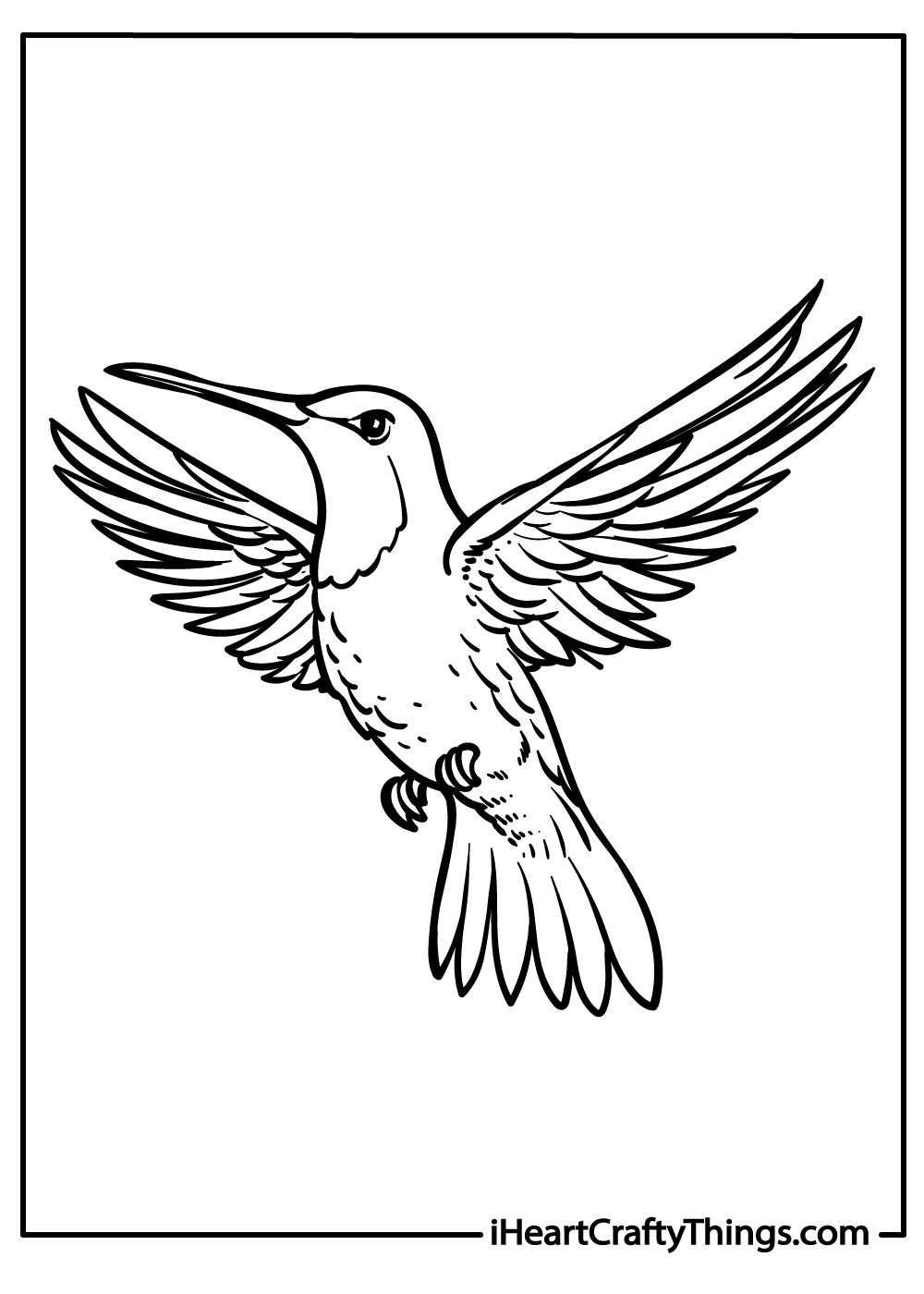 black-and-white Hummingbird Coloring Printable
