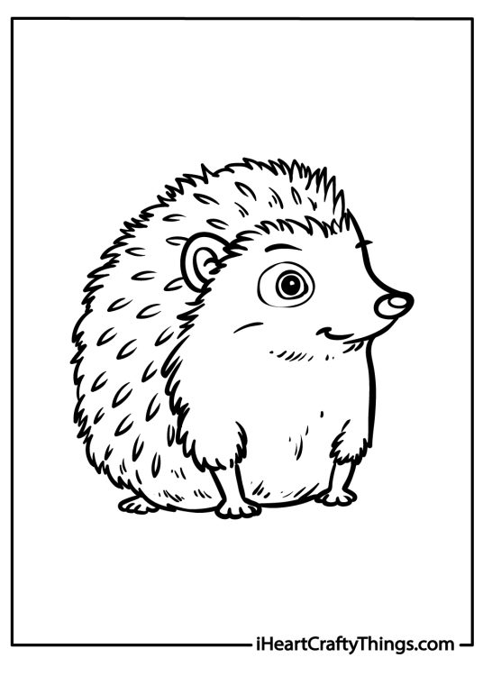 Printable pdf featuring playful hedgehog sitting with eyes widely opened and head turned to the right side