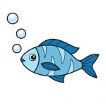how to draw fish image