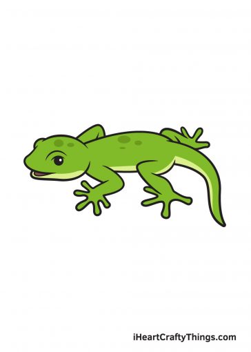 how to draw lizard image