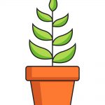 How to Draw Plant Image