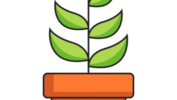 How to Draw Plant Image