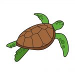 How to Draw Sea Turtle Image