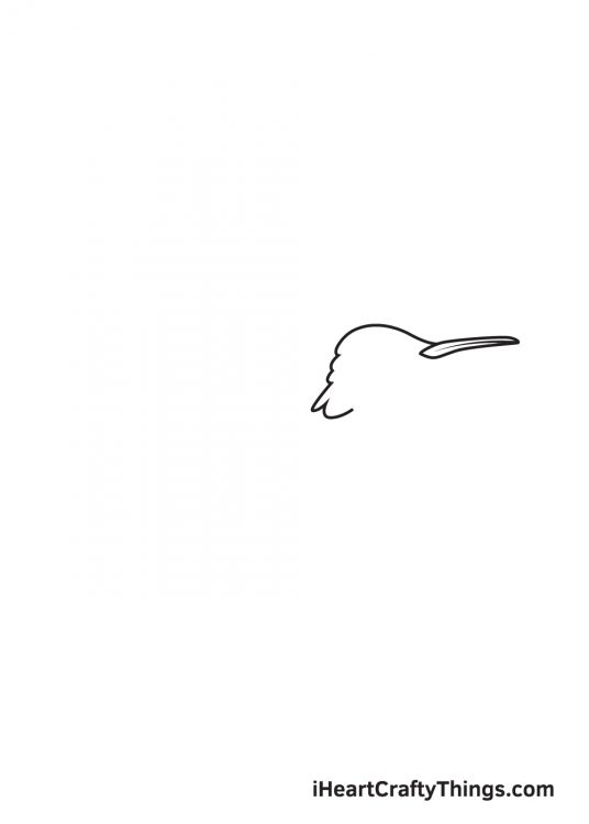 Hummingbird Drawing — How To Draw A Hummingbird Step By Step