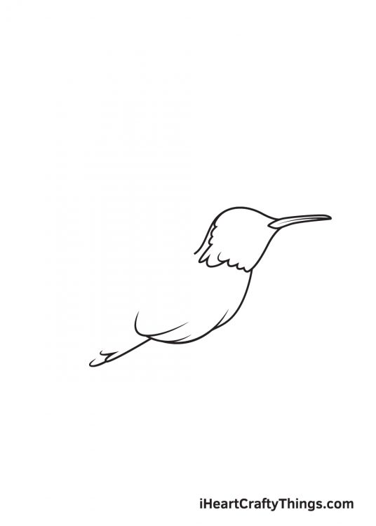 Hummingbird Drawing — How To Draw A Hummingbird Step By Step