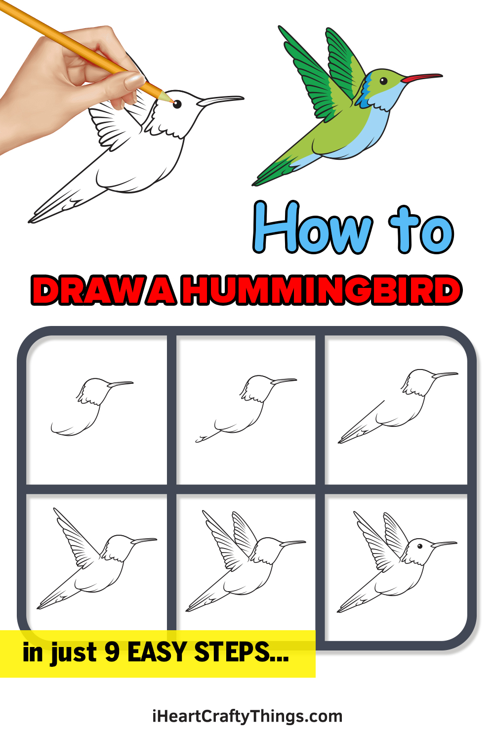 How To Draw A Hummingbird Step By Step