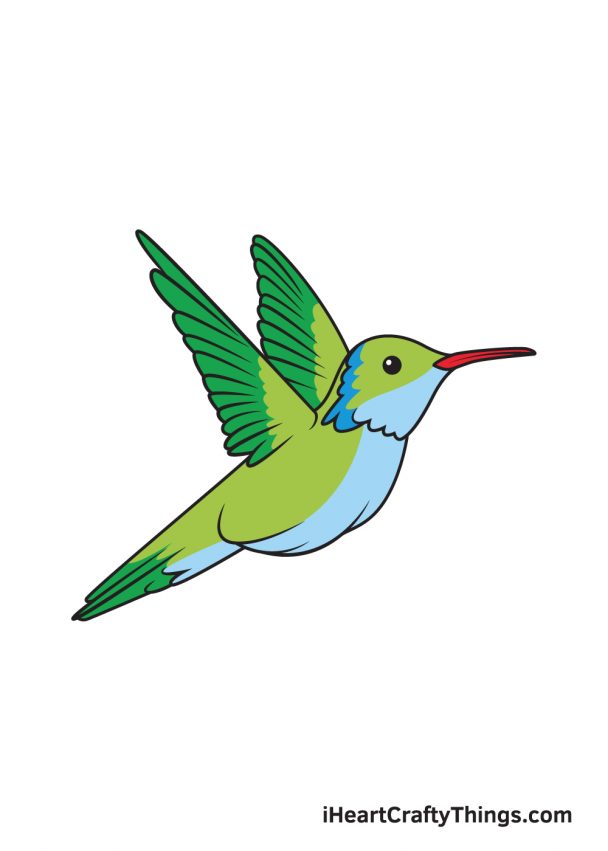 Hummingbird Drawing — How To Draw A Hummingbird Step By Step