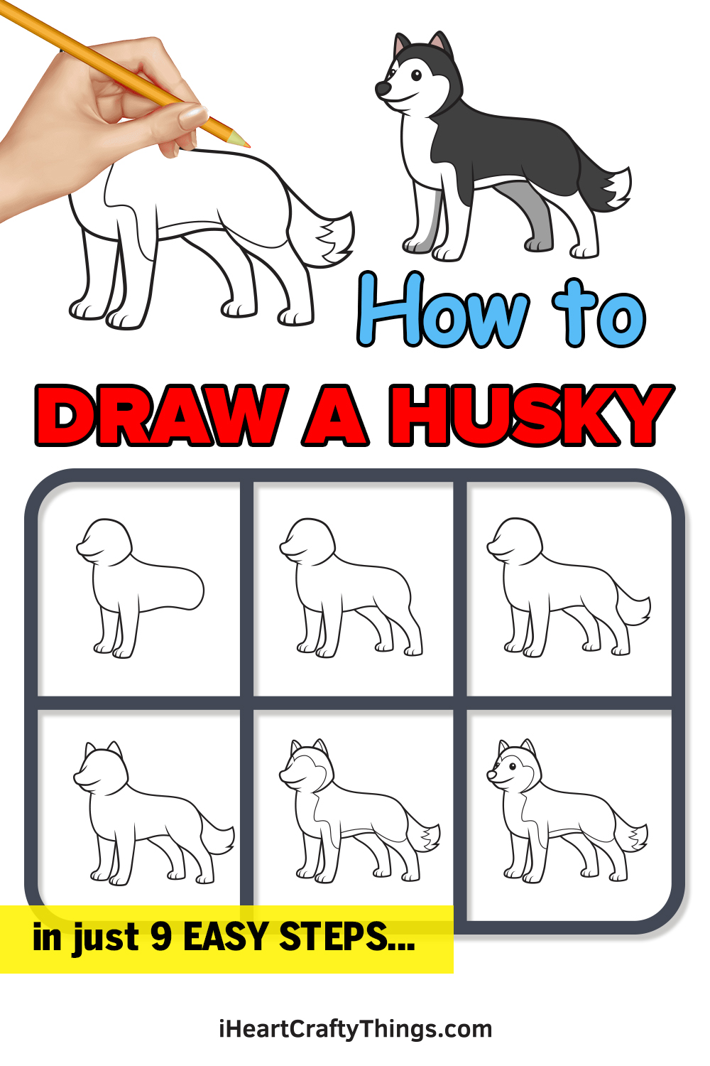 how to draw a husky in 9 easy steps