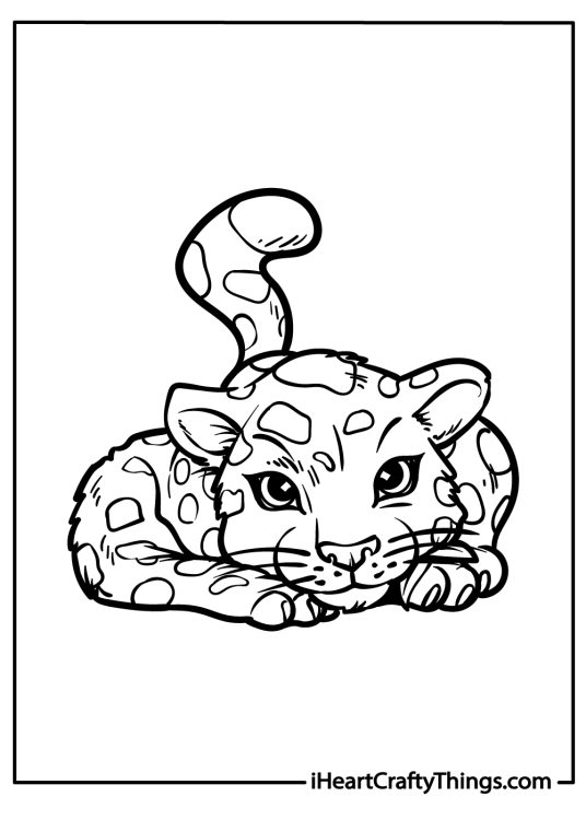 Coloring image of a little jaguar laying down with the head resting on his fuzzy paws