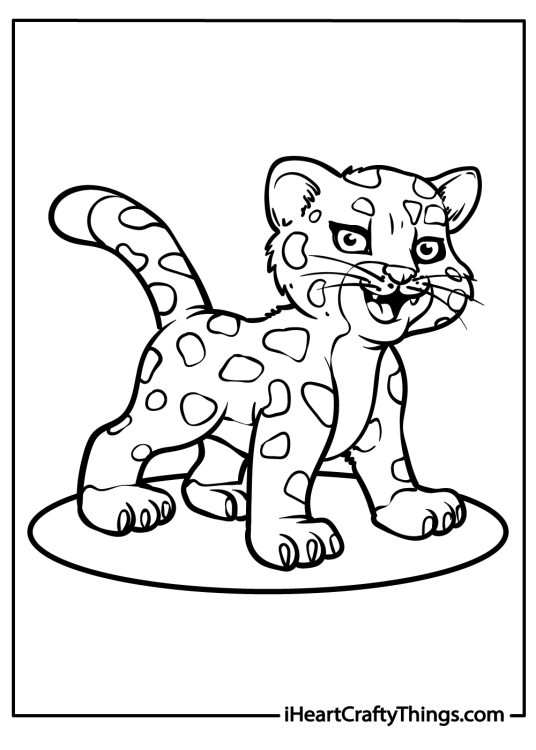 Coloring printable of a baby jaguar with long whiskers standing proudly on a small platform