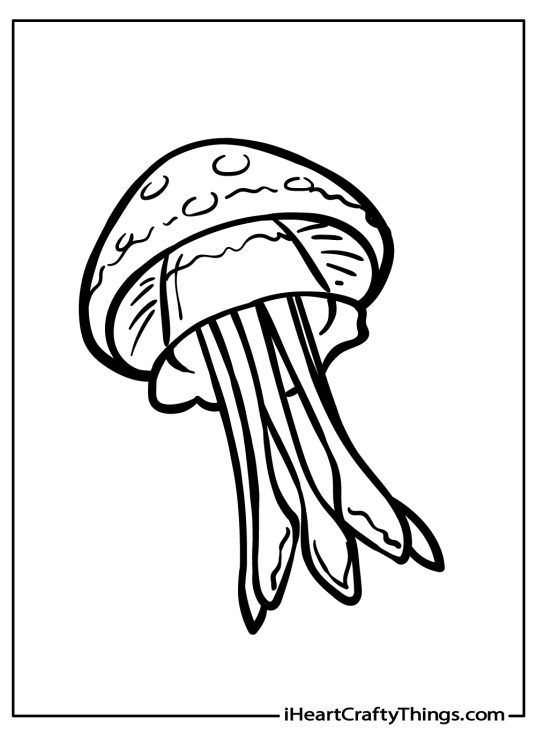 Jellyfish coloring pages