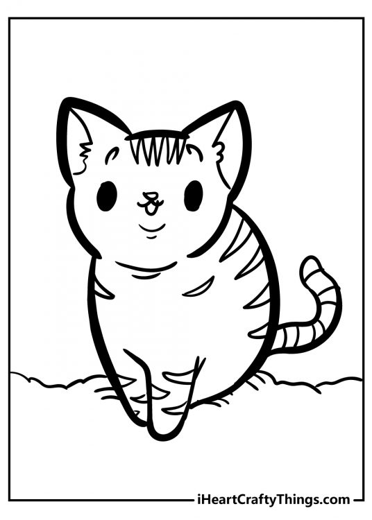 Printable picture of a kitten with stripes on his back and head in a sitting position