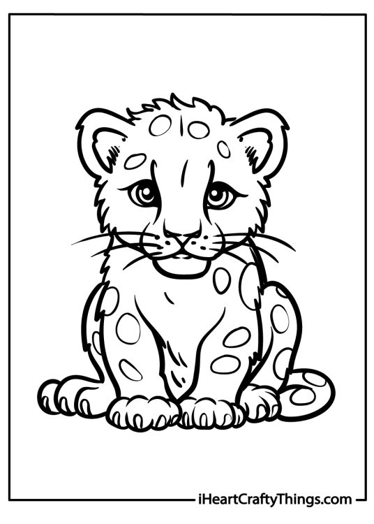 Printable image featyuring cute baby leopard looking just like kitten with spots on its fur