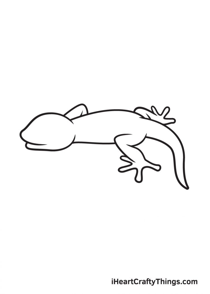 Lizard Drawing - How To Draw A Lizard Step By Step