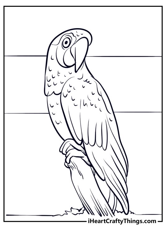 Parrots-themed coloring sheet presenting parrot sitting perched on a twisty branch