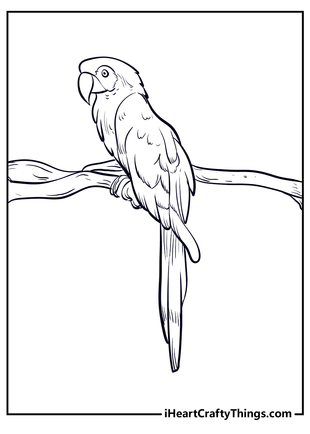 black-and-white parrot coloring sheets