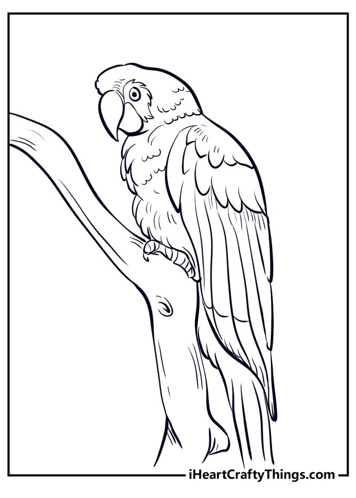 15 Parrot Coloring Pages (100% Free Printables)
