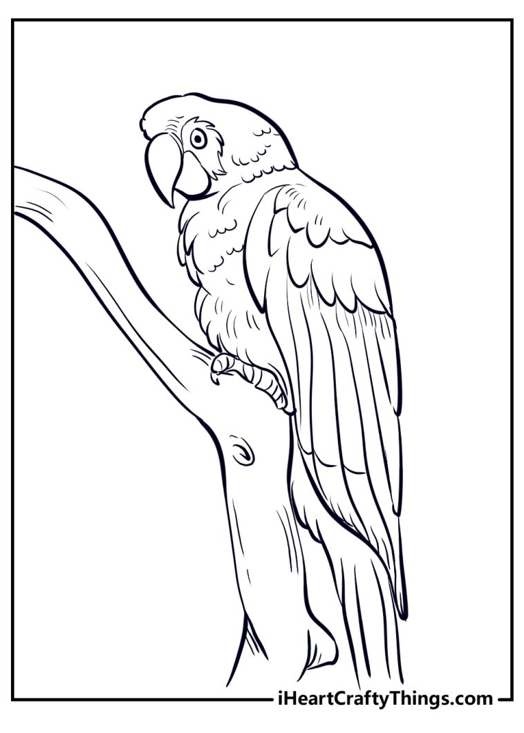 15 Parrot Coloring Pages (100% Free Printables)