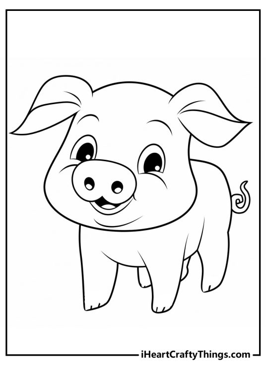 Drawing to printa and color featuring pig with a large smile standing on all fours legs