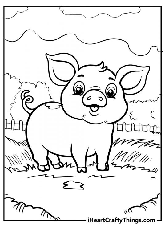 Coloring picture presenting pig surrounded by grass and a big fence in the background
