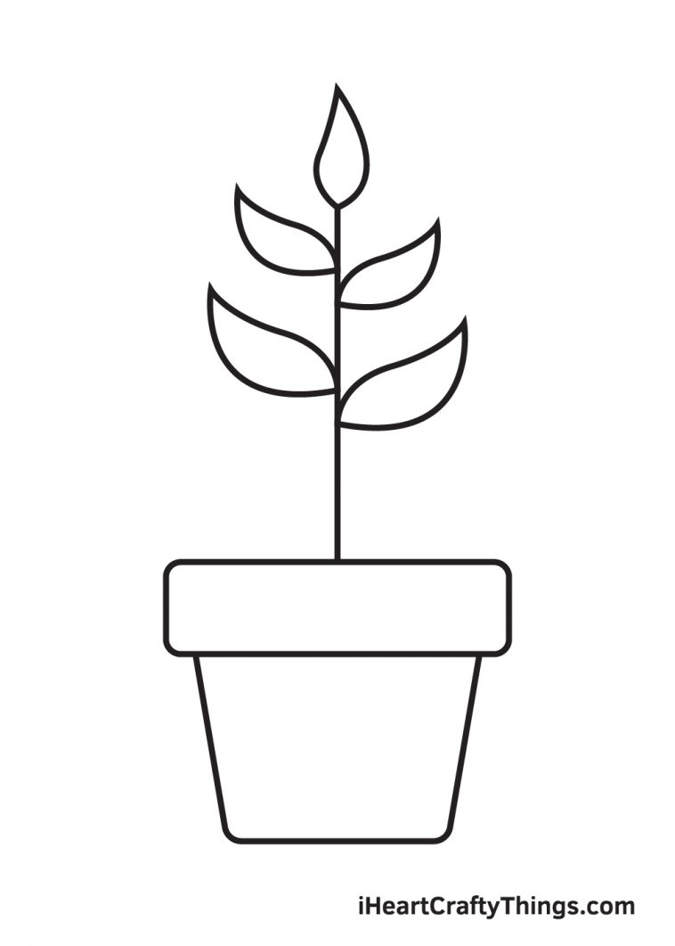 Plant Drawing - How To Draw A Plant Step By Step