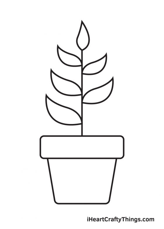 Plant Drawing How To Draw A Plant Step By Step