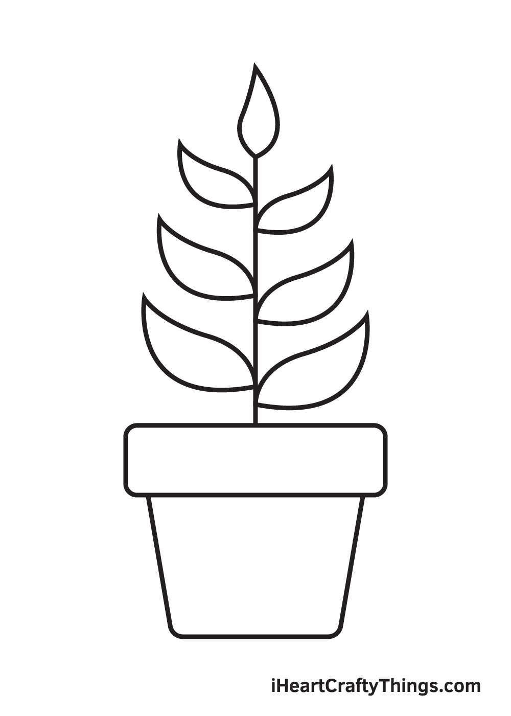 Plant Drawing – Step 9