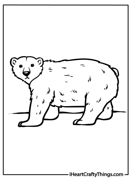 Detailed printable of a sturdy polar bear gazing ahead intently with his small black eyes