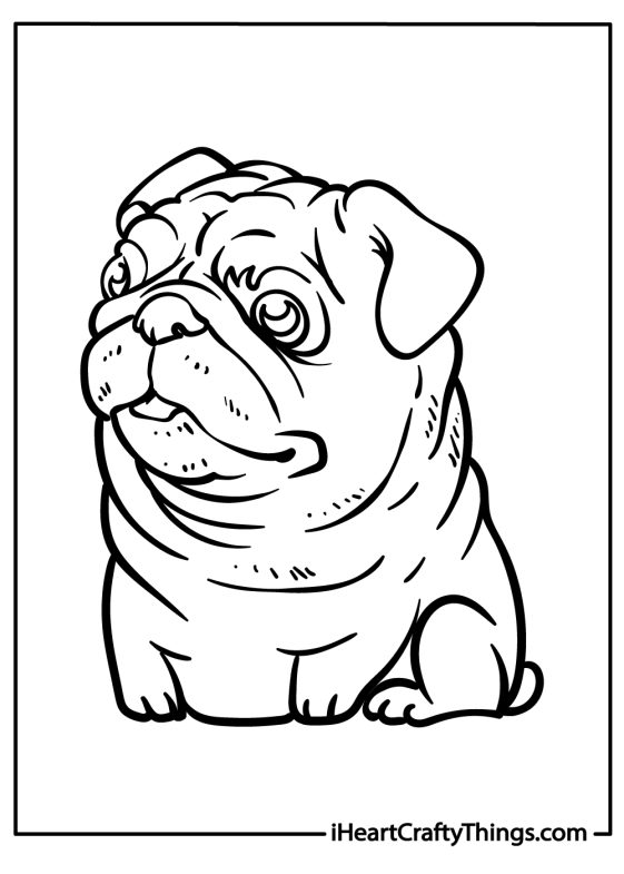 15 Pug Coloring Pages (100% Free Printables)