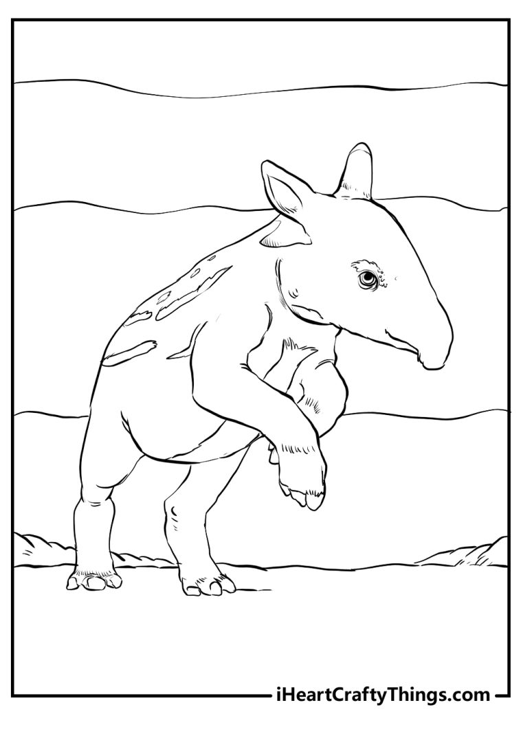 15 Realistic Animals Coloring Pages (100% Free Printables)