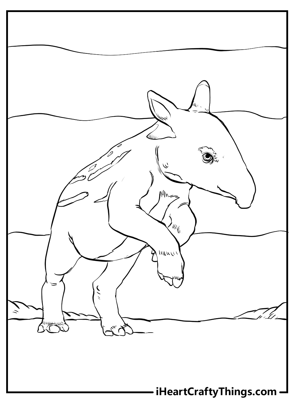 realistic animals coloring pages