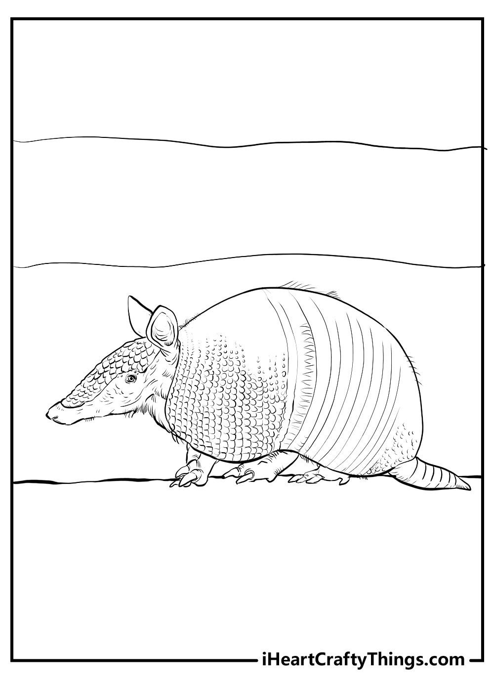 armadillo coloring pages