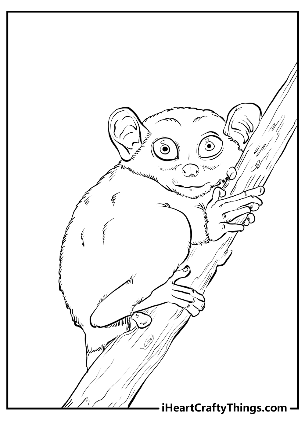 lemur coloring pages free printable