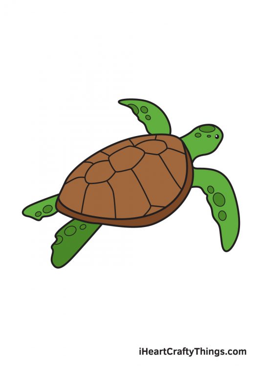 Sea Turtle Drawing - How To Draw A Sea Turtle Step By Step