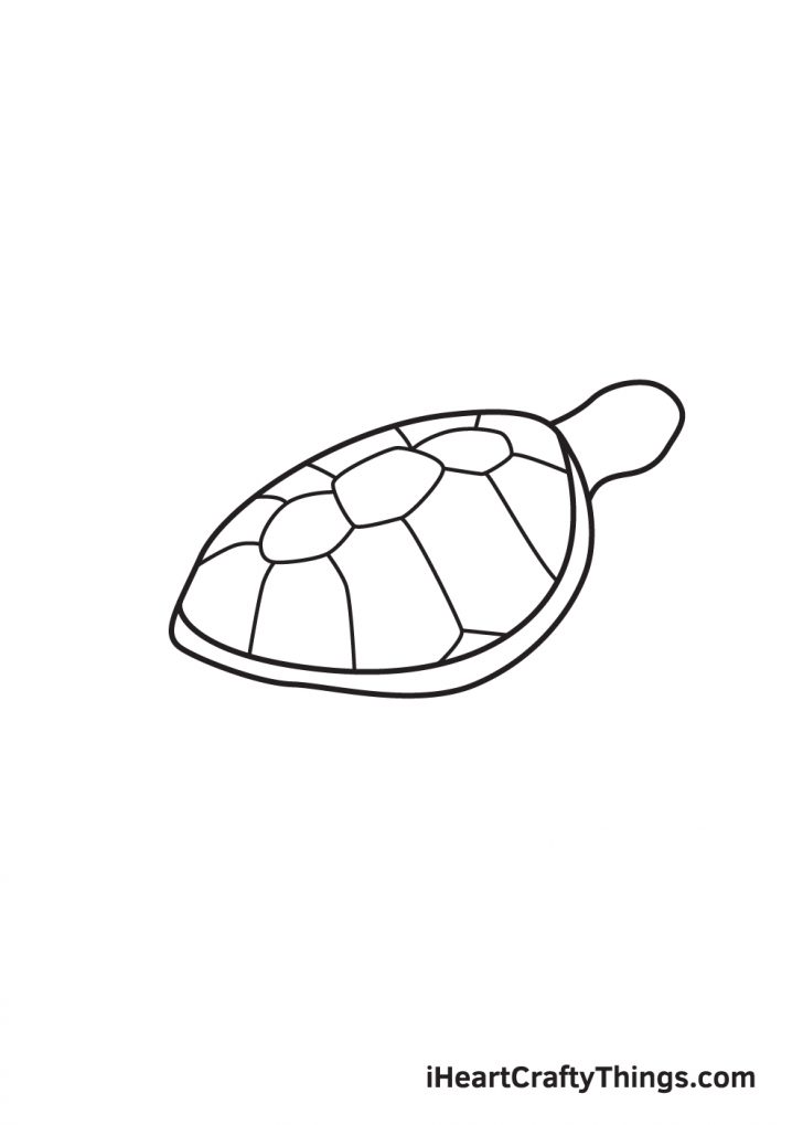 Sea Turtle Drawing - How To Draw A Sea Turtle Step By Step