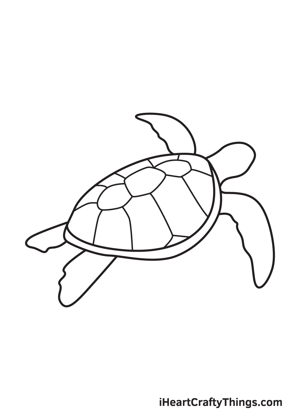 Sea Turtle Drawing  How To Draw A Sea Turtle Step By Step