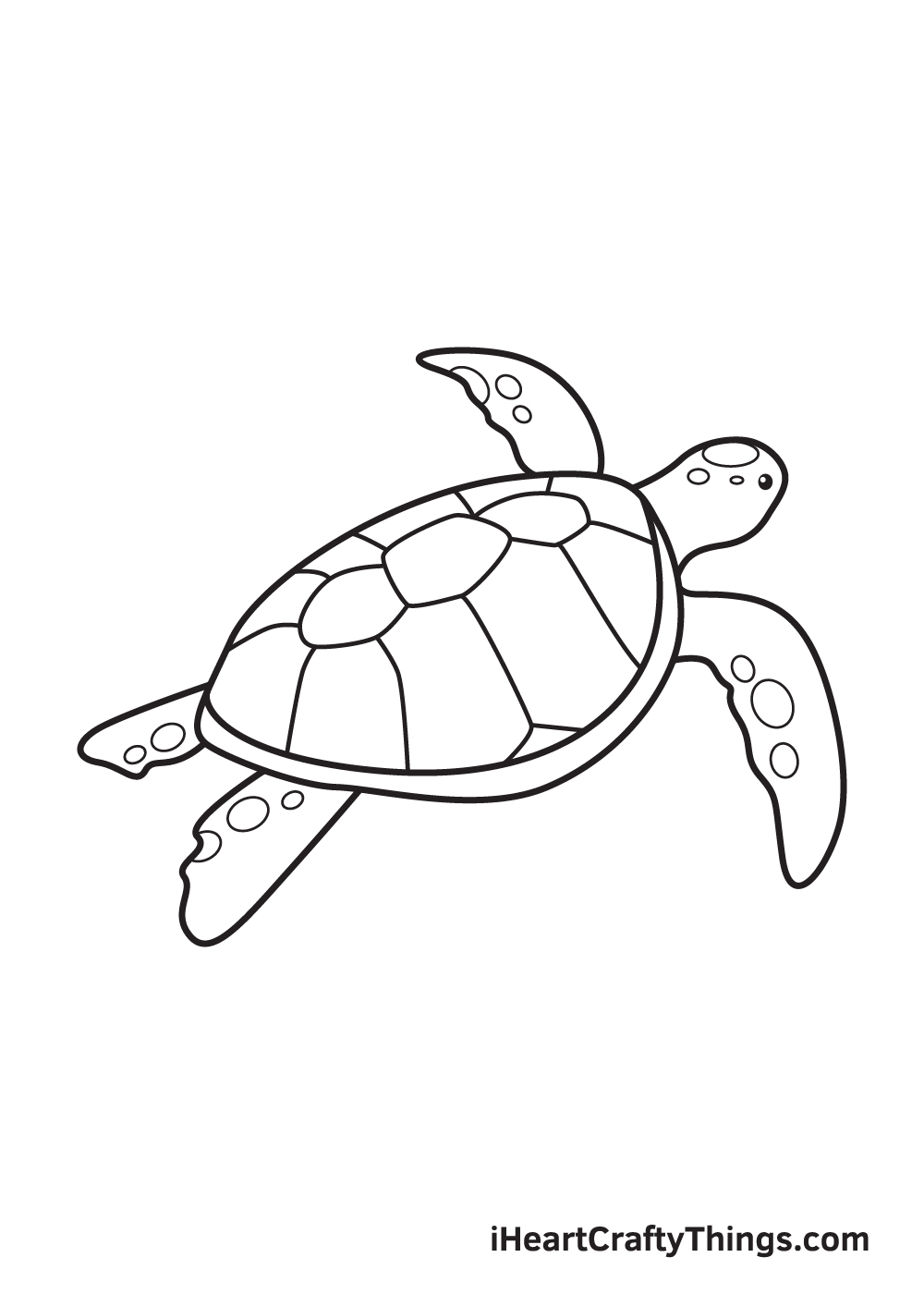 how to draw a cute sea turtle