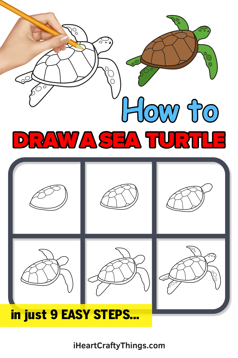 How to Draw a Sea Turtle : Easy Step-By-Step Tutorial