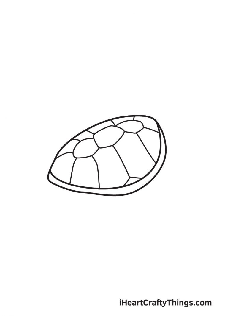 Sea Turtle Drawing How To Draw A Sea Turtle Step By Step