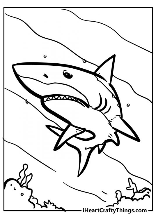 Coloring card for children presenting agressively-looking shark making a turn under water